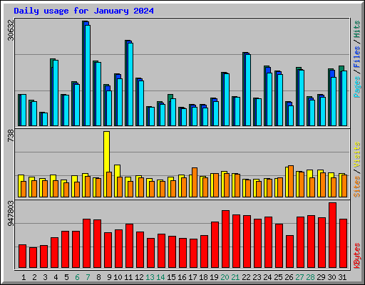 Daily usage for January 2024