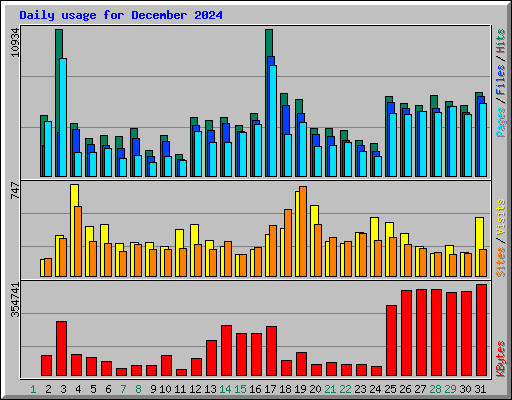 Daily usage for December 2024