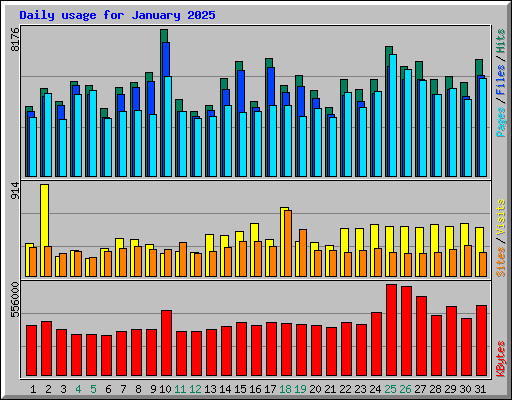 Daily usage for January 2025