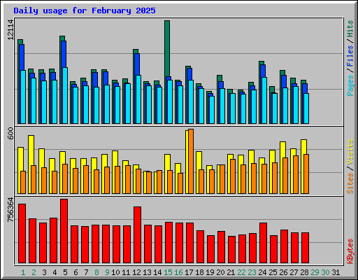 Daily usage for February 2025