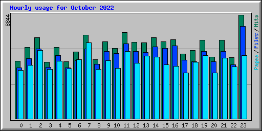 Hourly usage for October 2022