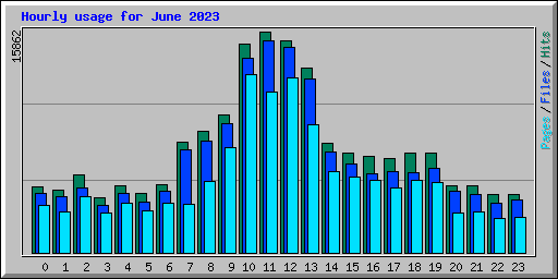 Hourly usage for June 2023