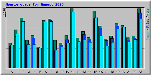 Hourly usage for August 2023