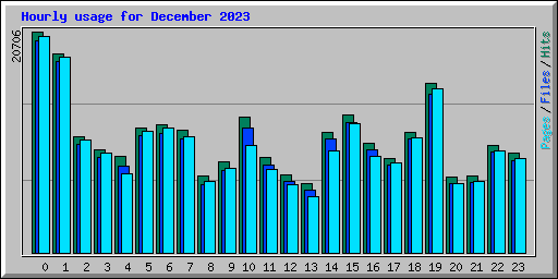 Hourly usage for December 2023