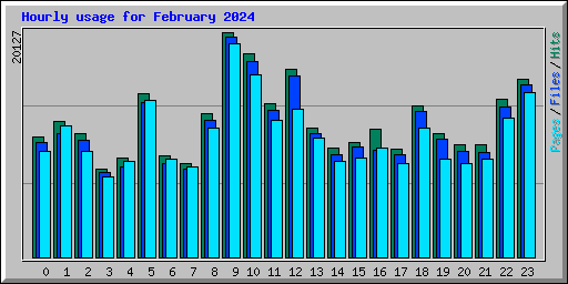 Hourly usage for February 2024