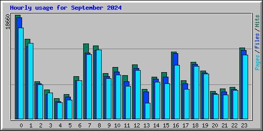 Hourly usage for September 2024