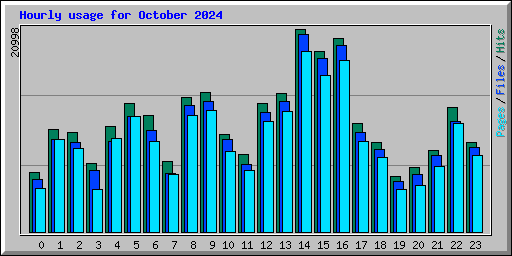 Hourly usage for October 2024