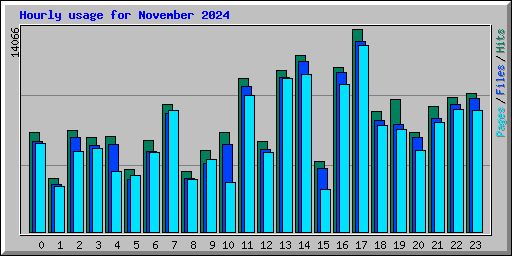 Hourly usage for November 2024