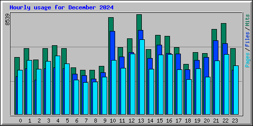 Hourly usage for December 2024