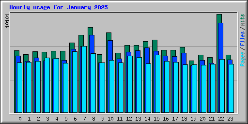 Hourly usage for January 2025