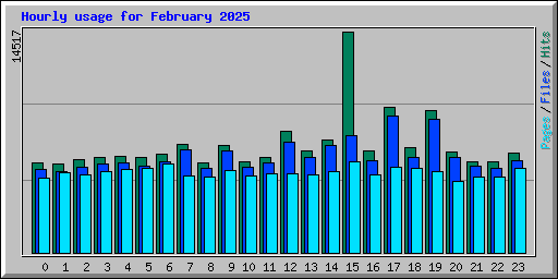 Hourly usage for February 2025