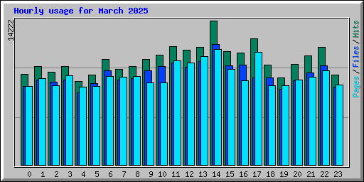 Hourly usage for March 2025
