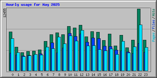 Hourly usage for May 2025