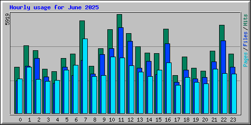 Hourly usage for June 2025