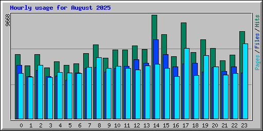 Hourly usage for August 2025